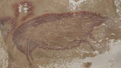 La pintura rupestre figurativa más antigua del mundo es la imagen de un cerdo verrugoso.
