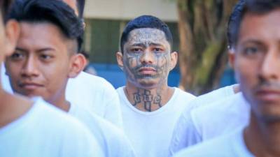 El Ministro Rogelio Rivas explica que entre capturados hay 354 pandilleros de la MS, 256 pandilleros de la 18 sureños y no pandilleros 119.