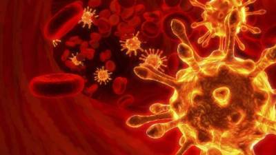 Gracias a un anticuerpo podrán elaborar vacuna contra la enfermedad de alzheimer.