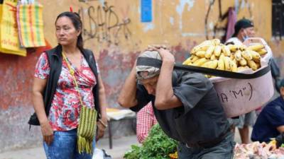 Un hombre carga bananos en un mercado hoy, en Iquitos (Perú).
