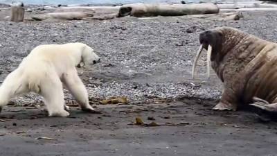 Foto captura de YouTube.