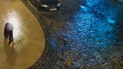 El video se hizo viral en YouTube.