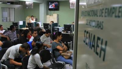 Las oficinas de la Secretaría se llenan de solicitantes.