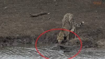 Más de 14 millones de views recibió este video en YouTube.