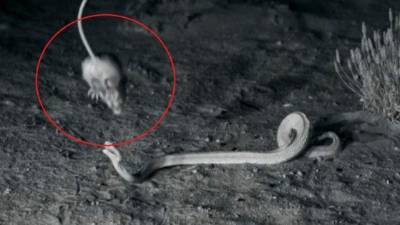 El video causa sorpresa en YouTube.