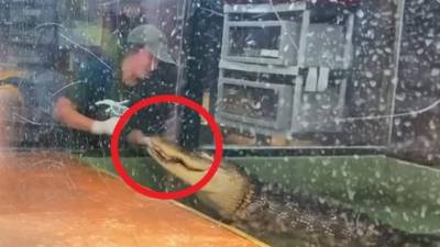 El video es muy impactante, se recomienda discreción al verlo.