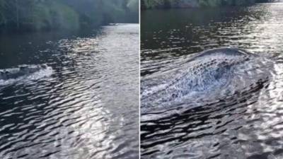 Captura de pantalla.