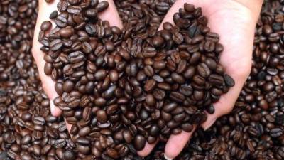 El café viene reportando altibajos, cayendo a un mínimo de 175.55 dólares.