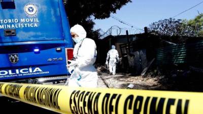 Elementos de Medicina Forense en una escena del crimen | Fotografía de archivo