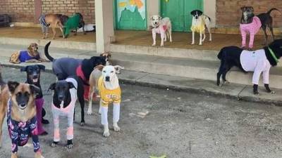 Fotos de Instagram: Fundación Amor y Abrigo.