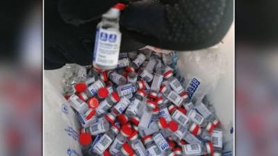 Las vacunas eran llevadas en una hielera.