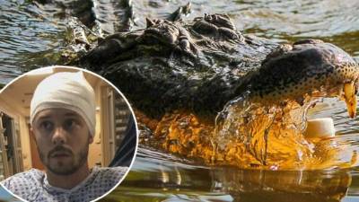 El video fue compartido por 10 Tampa Bay.