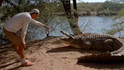 Estos reptiles son depredadores por naturaleza.