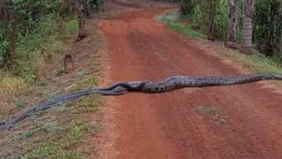 El video viral fue publicado en YouTube.