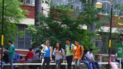 40 estudiantes hondureños se trasladarán a universidades de China