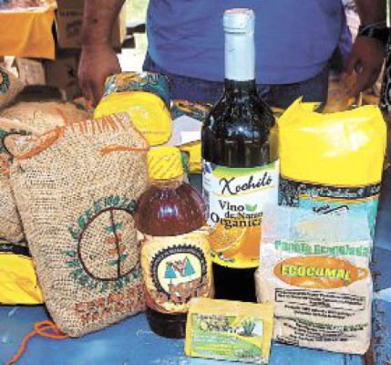 Promueven economía solidaria