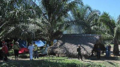 En el Bajo Aguán se libraron cruentos enfrentamientos por las tierras que dejaron más de un centenar de muertos.