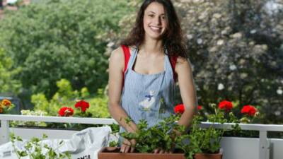Mantenga la planta fuera de la luz solar directa hasta su recuperación total.