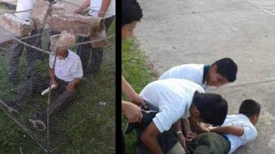 Golpean y encierran en jaula a alumno en Tabasco. (Tabasco Hoy)
