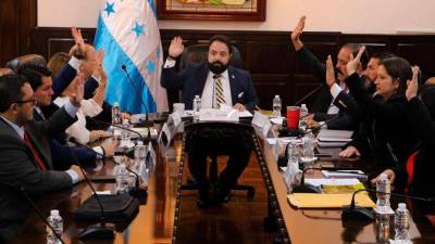 <b><span class=mln_uppercase_mln>Archivo.</span></b> Después de la convocatoria de carácter urgente, varios sectores cuestionaronde nuevo la legalidad de la comisión.