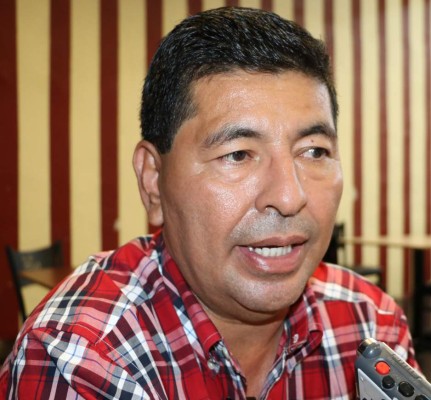 Palmeros buscan apoyo del Gobierno para combatir las plagas