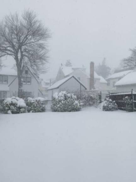 Isis Godoy compartió esta foto de Nueva York, donde esta mañana ya habían caído más de 15 centímetros de nieve, pero las previsiones apuntaban a que las precipitaciones continuarían con fuerza durante todo el día e incluso durante el martes.<br/><br/>