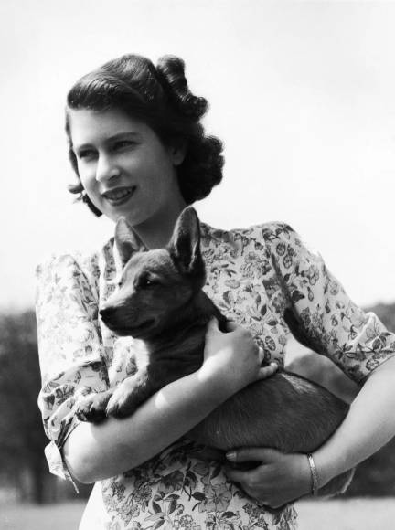 La reina era amante de los perros y los consideraba parte fundamental de su vestuario.