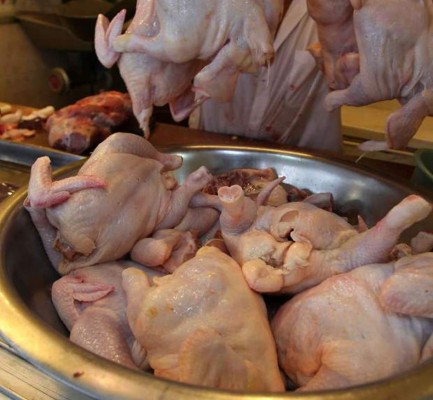 Avicultores esperan 20% más de demanda