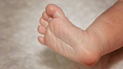 Los animales ya se habían comido parte del cuerpo del bebé. Imagen de referencia.