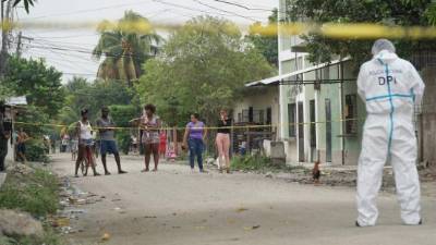 En la colonia La Pradera de SPS ultimaron ayer a una mujer que no portaba documentos.