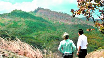Este es parte del terreno escabroso e irregular objeto de la polémica.