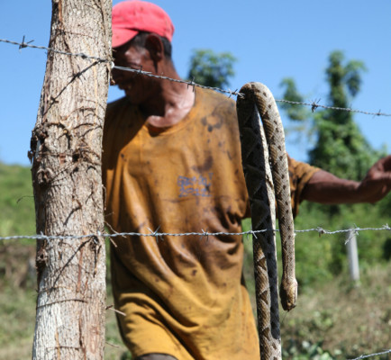 Movilización policial por culebra muerta