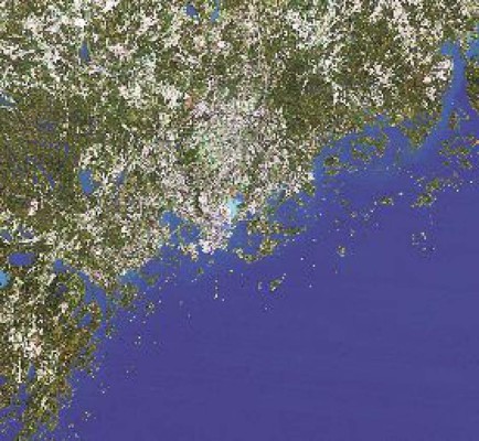 Motor asiático de búsqueda