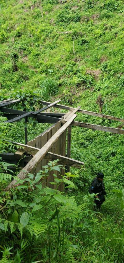En el lugar se encontraron 64,000 arbustos de hoja de coca sembrados en una hectárea equivalente a ocho manzanas.