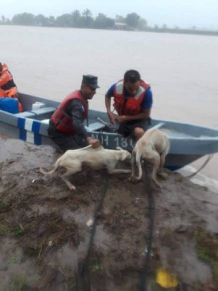 Los miembros del Cuerpo de Bomberos informaron sobre el desbordamiento del río Lean, situación que mantiene alerta en los pobladores de la zona.<br/><br/>