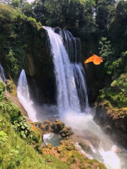 4. Cataratas de Pulhapanzak:<br/>Escondida en la aldea San Buenaventura, en el municipio de San Francisco de Yojoa, a unos kilómetros de Peña Blanca, se encuentra la espectacular caída de agua de 43 metros de altura Pulhapanzak, ahí, además de frescura, el lugar ofrece diversión extrema y familiar. A tan solo 17 kilómetros del Lago de Yojoa, las cataratas de Pulhapanzak son una joya turística visitada por más de diez mil personas al año y aprovechada para eventos sociales por su belleza natural e imponente.<br/>A parte de sus bellezas naturales y extremas, Pulha tiene secretos poco contados como: <br/>-Walt Disney se inspiró en Pulhapanzak para una cascada que está plasmada en el 'Libro de la selva'.<br/>-En las cercanías de Pulha existen montículos precolombinos.