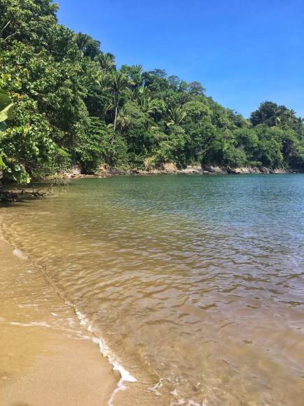 2. La visita a Punta Sal inicia con el desembarco en la base de la península, posteriormente, se recorre un sendero a través de la selva tropical.