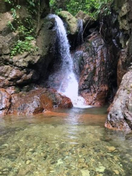 En el Panacam Lodge puede hospedarse en cabañas desde los L1,175 ($50) en adelante, practicar deportes extremos como kayak y hacer canopy.<br/>