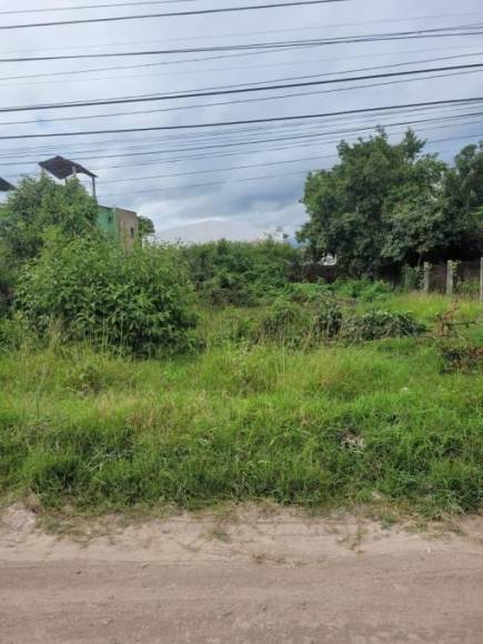 La zona de la sede del Independiente está ubicada en el barrio el Carmen, en Siguatepeque, Comayagua.