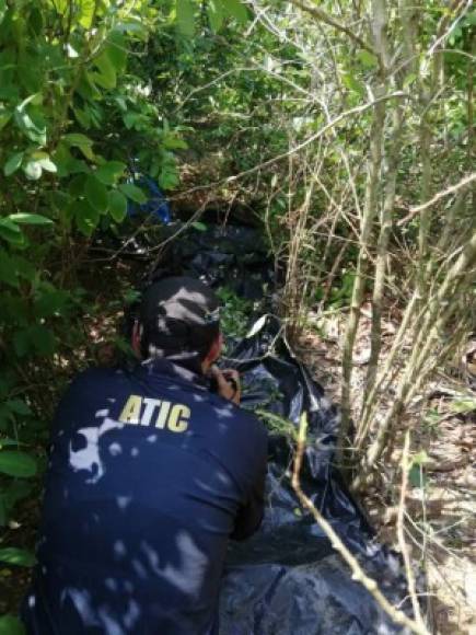 La Fuerza de Seguridad Interinstitucional Nacional de Seguridad de Honduras (Fusina) ha inhabilitado este año 19 pistas de aterrizaje clandestinas usadas por narcotraficantes para llevar cocaína y otras drogas a México y Estados Unidos.