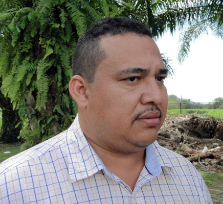 Con energía de desechos de palma moverán la industria en El Progreso