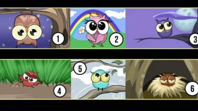 En la red puedes encontrar numerosos tests psicológicos interesantes. La mayoría de ellos consiste en elegir aquellos que mejor te describen o que por alguna razón desconocida más atrae tu atención. Lo que para ti puede ser un misterio, para los psicólogos de renombre del mundo es una información muy valiosa de lo que puede pasar en tu interior. Es porque estudian todo aquello que tú no registras de manera consciente, sino eliges a partir de tu intuición. Sin embargo, detrás de ella se esconde un proceso cognitivo avanzado, pero apartado por el cerebro porque sería una cantidad de datos demasiado grande para analizar en un periodo de tiempo muy corto. Después de esta corta introducción, te invitamos a participar del siguiente test: elige el búho con el que te sientes más familiarizado y descubrirás algo increíble de ti. ¿Lo tienes?