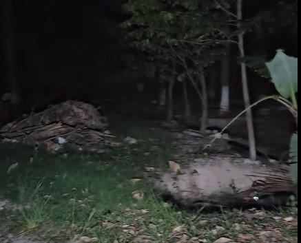 Hondureño asegura haber grabado un fantasma en la Cuesta de la Virgen