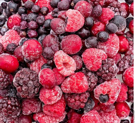 Aprenda a conservar mejor sus alimentos