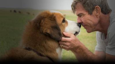 Dennis Quaid en la cinta 'A Dog's Purpose'.