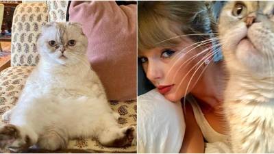 Su presencia en las redes sociales de su dueña es constante, así como en algunos videoclips de la cantante.