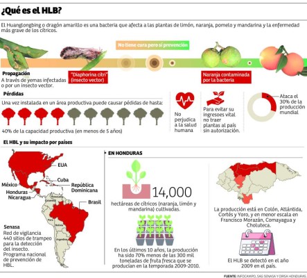 Foto: La Prensa