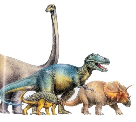 'La historia de la vida”