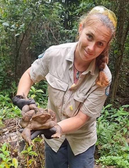 Autoridades australianas dijeron que el “monstruoso” animal fue “removido de la naturaleza”.