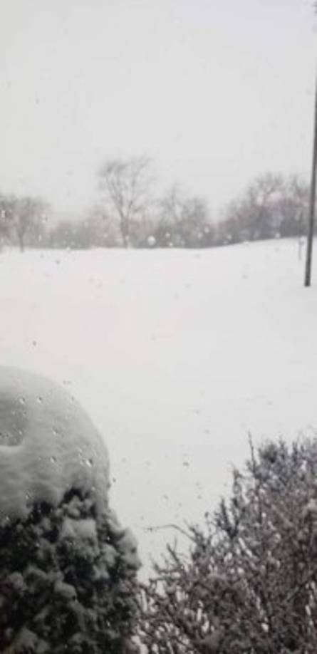 Foto por Jasmina Gallegos de Chicago.<br/>